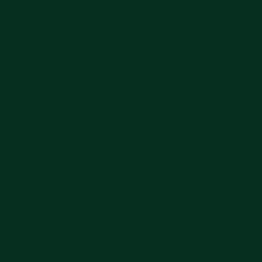 6005 Verde muschio
